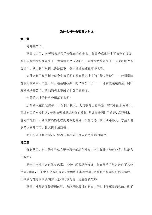 为什么树叶会变黄小作文