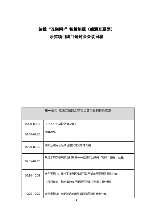 首批互联网+智慧能源(能源互联网)示范项目闭门研讨