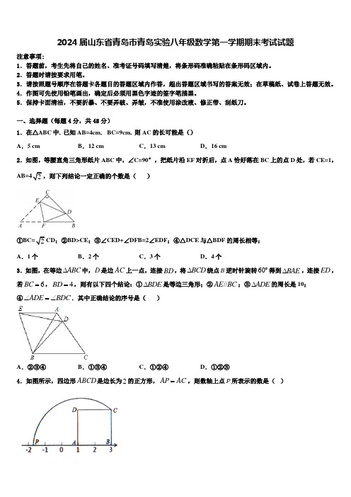 2024届山东省青岛市青岛实验八年级数学第一学期期末考试试题含解析