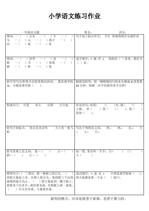 小学一年级语文分类过关V (96)