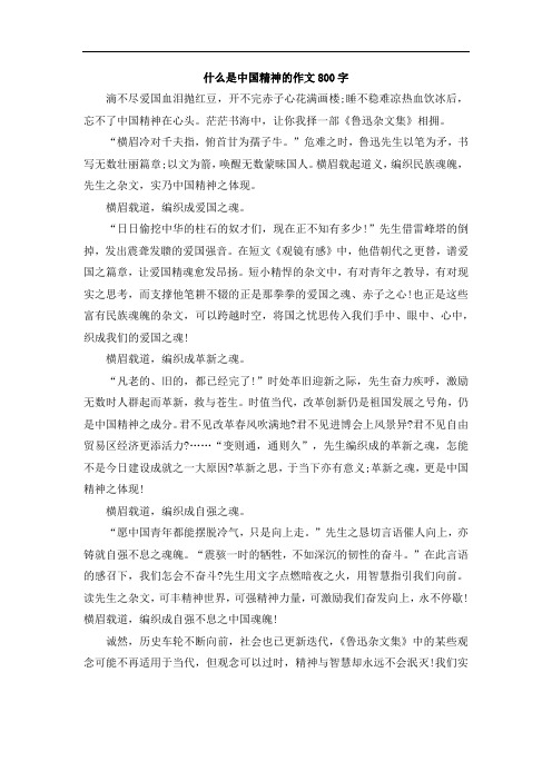 什么是中国精神的作文800字