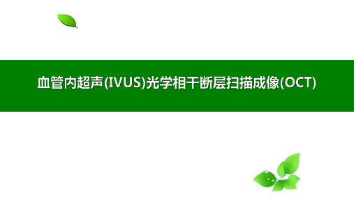 血管内超声(IVUS)光学相干断层扫描成像(OCT)培训学习讲解PPT课件