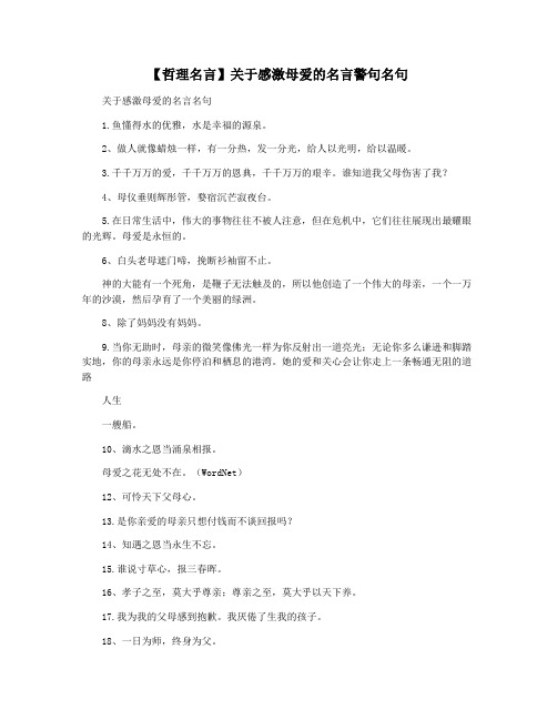 【哲理名言】关于感激母爱的名言警句名句