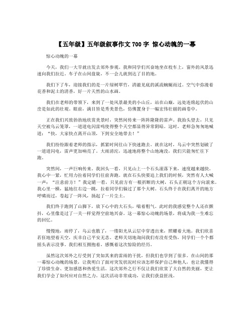 【五年级】五年级叙事作文700字 惊心动魄的一幕