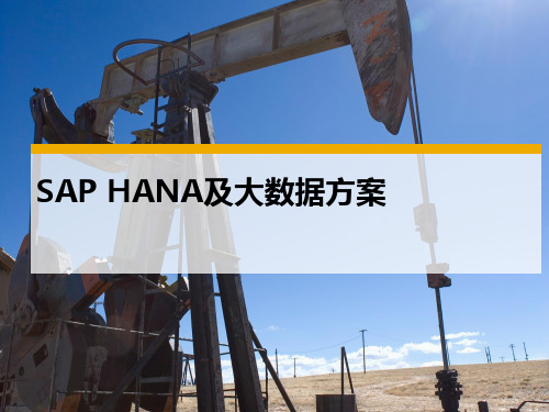 SAP HANA及大数据方案