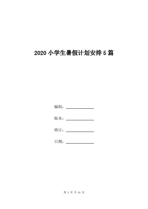 2020小学生暑假计划安排5篇.doc