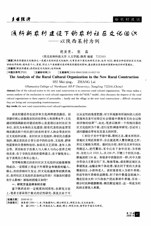 浅析新农村建设下的农村社区文化组织——以陕西某村为例