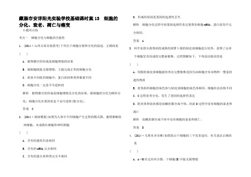 高考生物一轮复习 第4单元 基础课时案 细胞的分化衰老凋亡与癌变课后训练1