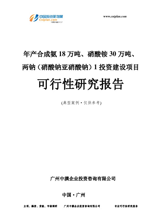 年产合成氨18万吨、硝酸铵30万吨、两钠(硝酸钠亚硝酸钠)1投资建设项目可行性研究报告-广州中撰咨询