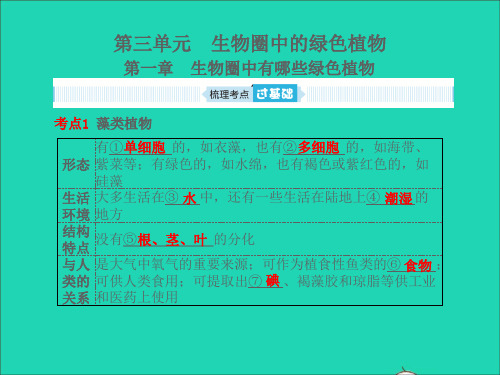 聊城专版山东省2019年中考生物总复习第三单元生物圈中的绿色植物第一章生物圈中有哪些绿色植物课件