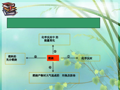 高一化学上册第一章第一节 PPT课件 图文