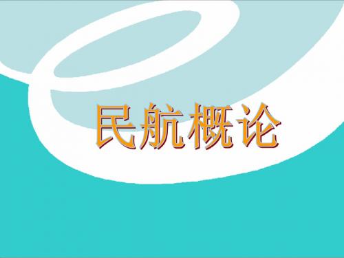 全国经济师知识民航概论85p