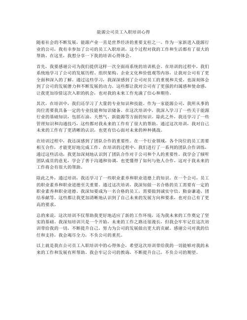 能源公司员工入职培训心得