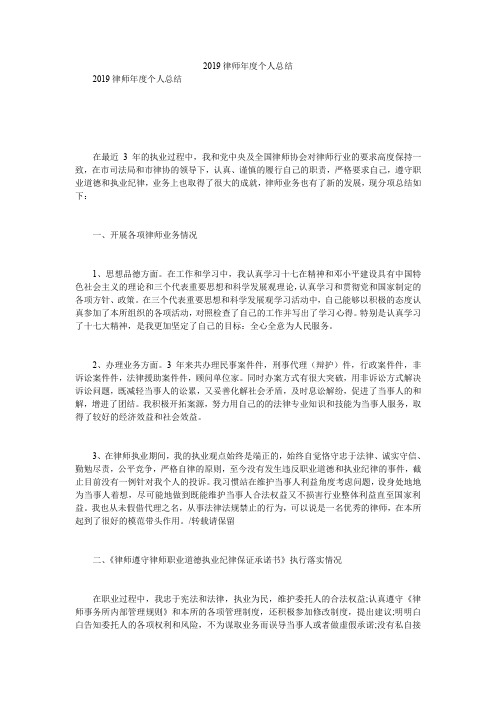 2019律师年度个人总结