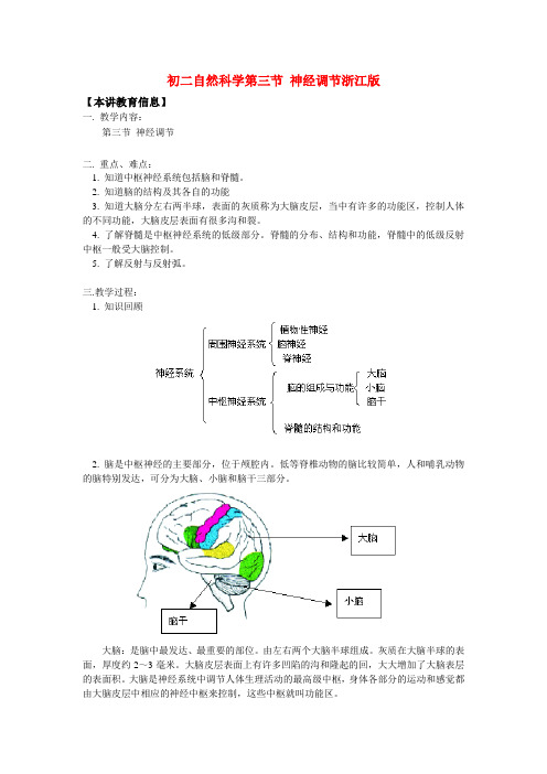 八年级自然科学第三节 神经调节浙江版知识精讲