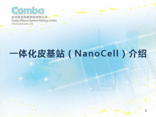 一体化皮基站(NanoCell)介绍精品PPT课件