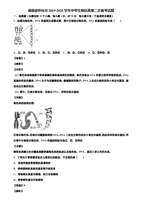 湖南省怀化市2019-2020学年中考生物仿真第二次备考试题含解析