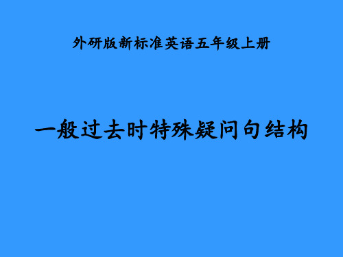 特殊疑问句结构 ppt课件