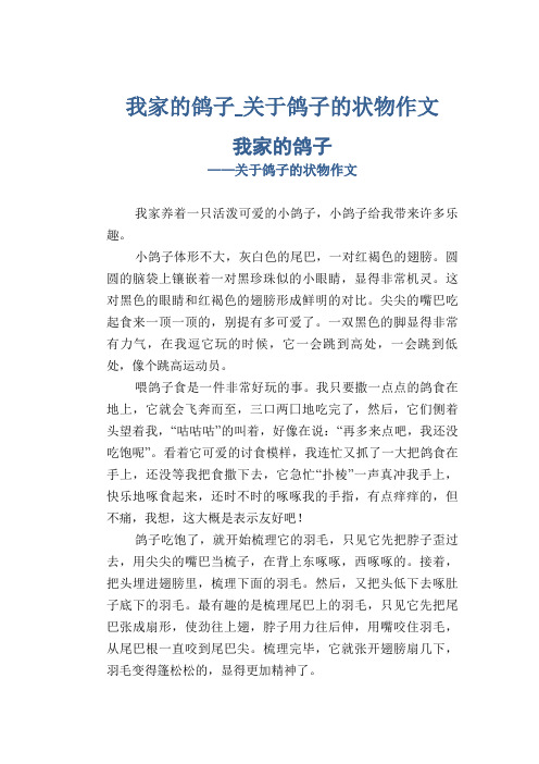 初中八年级学生状物优秀作品:我家的鸽子_关于鸽子的状物作文