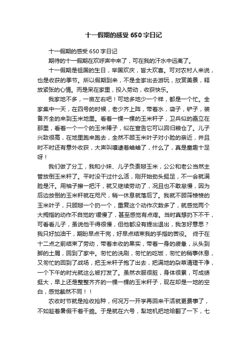 十一假期的感受650字日记