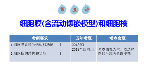 第5讲 细胞膜(含流动镶嵌模型)和细胞核