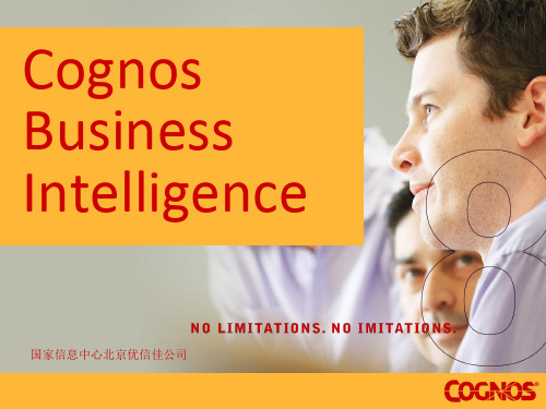 Cognos_BI结构和功能简介