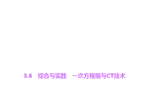 七年级数学上册 3.6 综合与实践 一次方程组与CT技术习题课件 (新版)沪科版