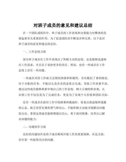 对班子成员的意见和建议总结