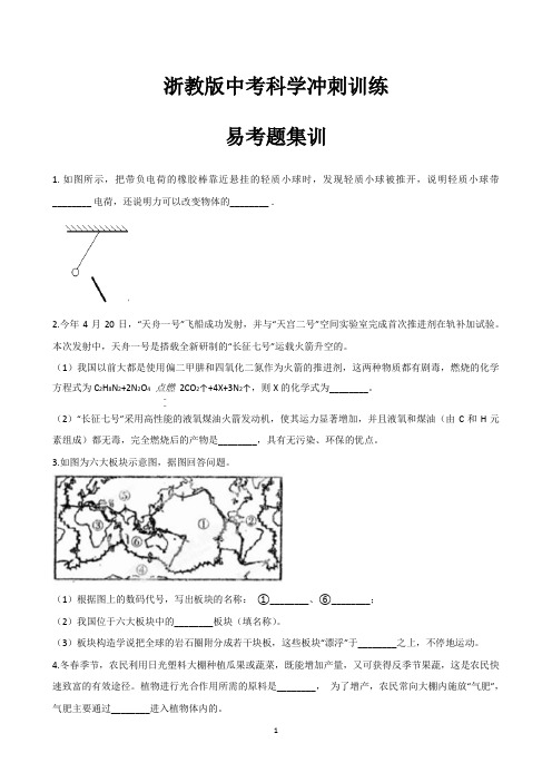 易考题集训一浙教版中考科学冲刺训练(含解析)