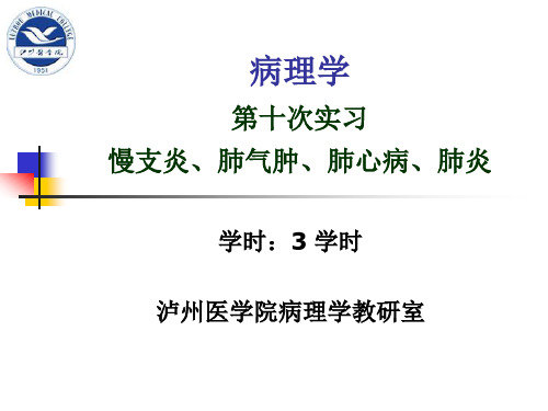 实习10 慢支炎、肺气肿、肺心病、肺炎