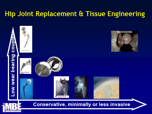 组织工程TissueEngineering