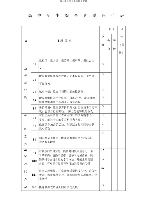 高中学生综合素质评价表格