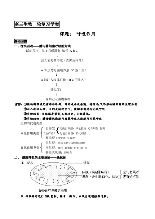 高考生物一轮复习学案 呼吸作用