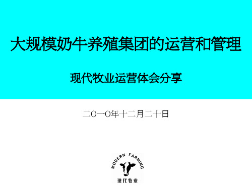 现代牧业 规模奶牛养殖集团的运营和管理