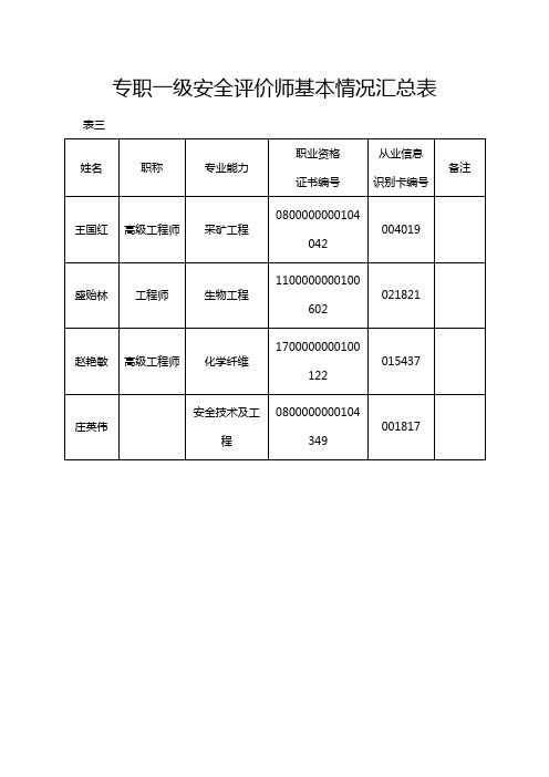 专职一级安全评价师基本情况汇总表