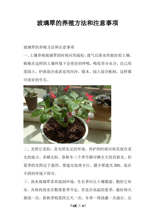 玻璃翠的养殖方法和注意事项