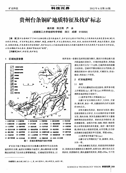 贵州台条铜矿地质特征及找矿标志