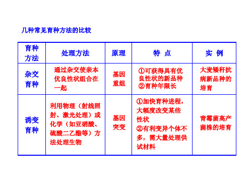 几种常见育种方法的比较