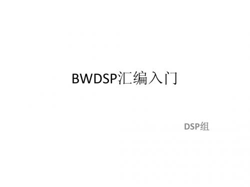 BWDSP汇编入门