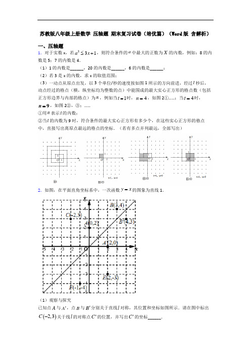 苏教版八年级上册数学 压轴题 期末复习试卷(培优篇)(Word版 含解析)