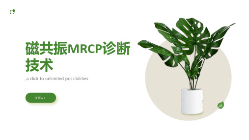 磁共振MRCP诊断技术