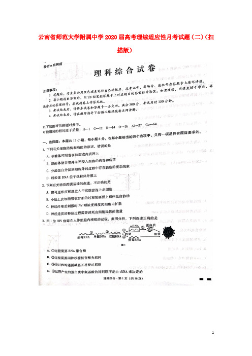 云南省师范大学附属中学2020届高考理综适应性月考试题(二)(扫描版)