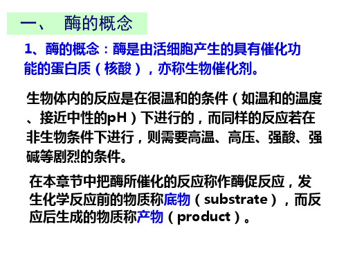 酶经典案例PPT课件