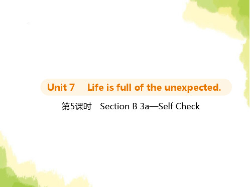 鲁教版九年级英语Unit7第5课时SectionB 3a—Self Check课件