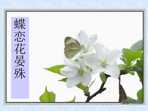 蝶恋花·槛菊愁烟兰泣露ppt实用课件9