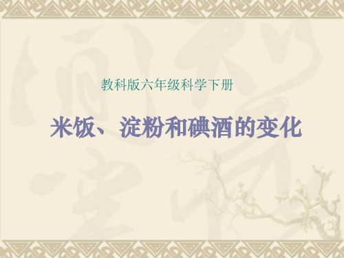 六年级下册科学课件2.3米饭、淀粉和碘酒的变化教科版(共15张PPT)