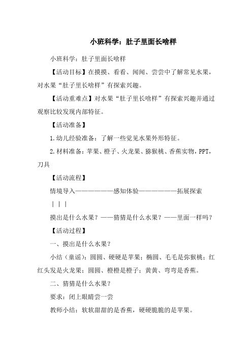 小班科学：肚子里面长啥样