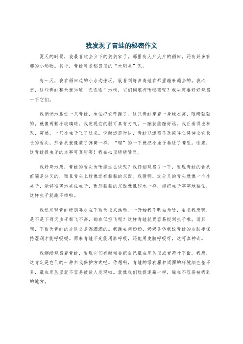 我发现了青蛙的秘密作文