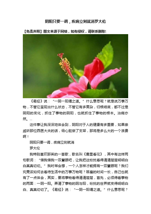 阴阳只要一调，疾病立刻就消罗大伦