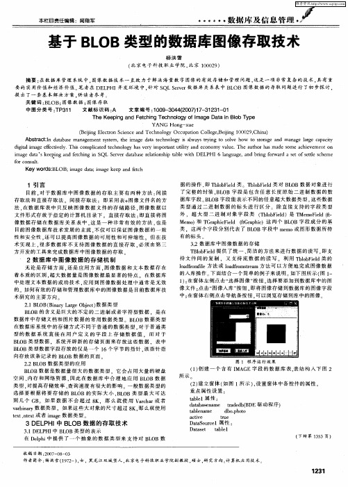 基于BLOB类型的数据库图像存取技术